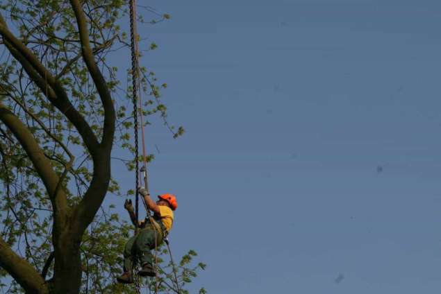 bomen rooien hovenier Koevitsdel Kijfwaard Klarenbeek Kleindorp Klikenberg Klispoel Kluis Kolthoorn Kootwijk Kootwijkebroek Kotten Koudenhoek Koudehoorn Krachighuizen Kranburg Kring van Dorth Kruishaar Kulsdom Kwartier Laageinde Laag Soeren Laak Laarstrat Lage Bijsel